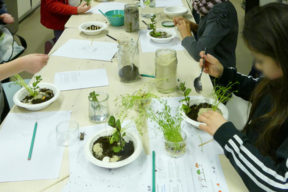 Les enfants ont réalisés des mini-jardins à partir de matériaux perméables