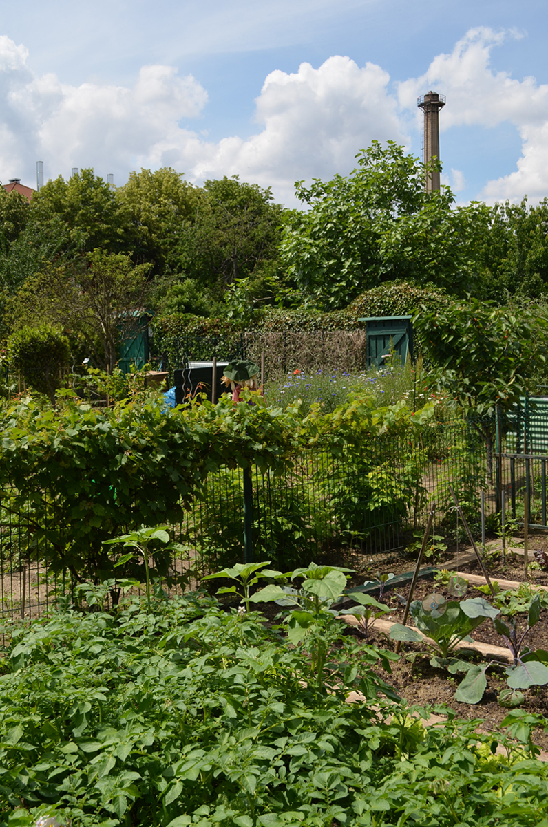 Jardins familiaux de Créteil