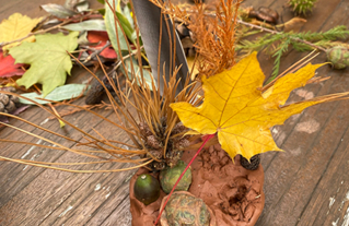 Un jardin dans ma main